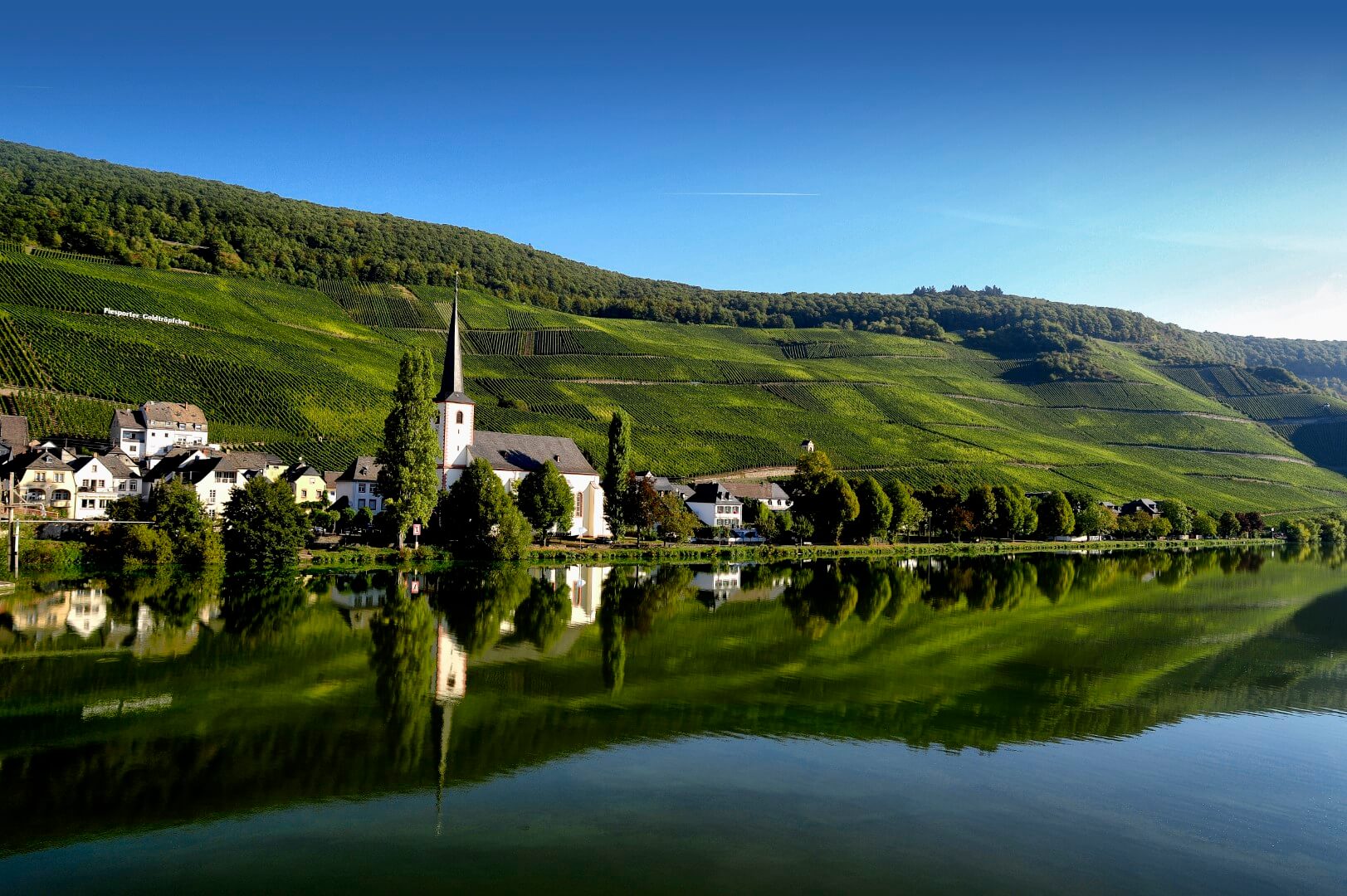 Weingut Loersch